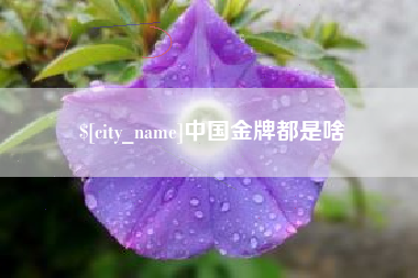 邵东中国金牌都是啥