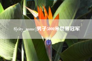 邵东男子5000米世界冠军