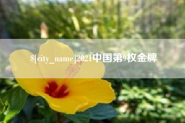 邵东2021中国第9枚金牌