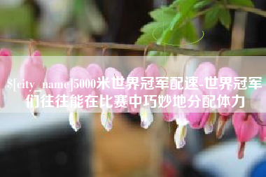 邵东5000米世界冠军配速-世界冠军们往往能在比赛中巧妙地分配体力