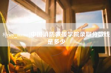 邵东中国消防救援学院录取分数线是多少