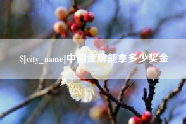 邵东中国金牌能拿多少奖金