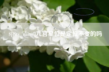 邵东九宫星位是定位不变的吗