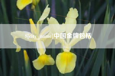邵东中国金牌包括