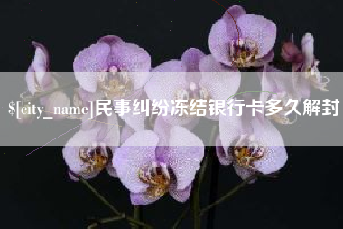 邵东民事纠纷冻结银行卡多久解封