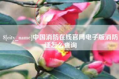 邵东中国消防在线官网电子版消防证怎么查询