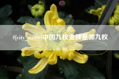 邵东中国九枚金牌是哪九枚