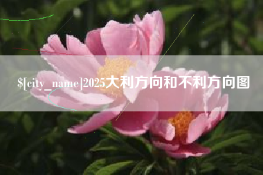 邵东2025大利方向和不利方向图