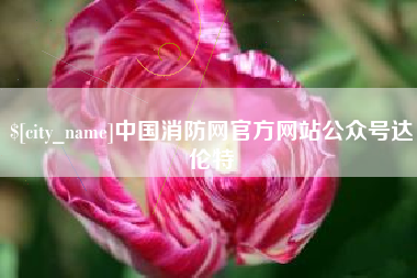 邵东中国消防网官方网站公众号达伦特
