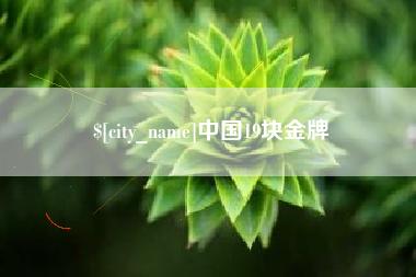 邵东中国19块金牌