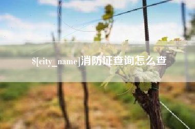邵东消防证查询怎么查