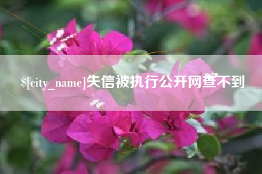 邵东失信被执行公开网查不到