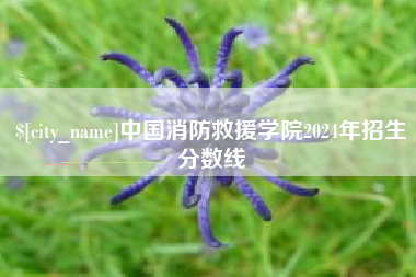 邵东中国消防救援学院2024年招生分数线