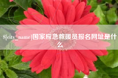 邵东国家应急救援员报名网址是什么