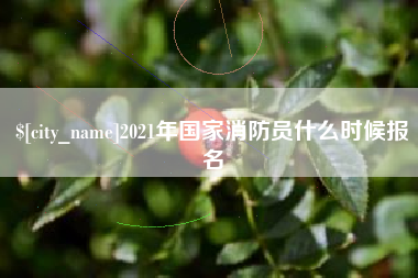 邵东2021年国家消防员什么时候报名