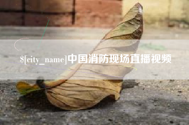 邵东中国消防现场直播视频