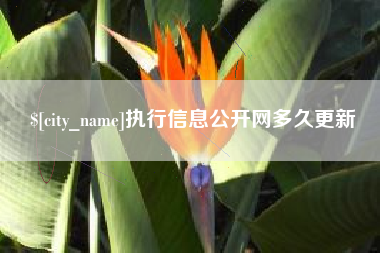 邵东执行信息公开网多久更新