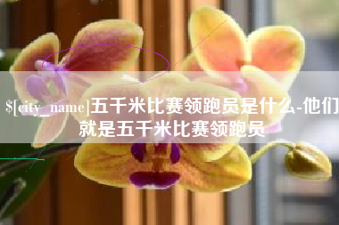邵东五千米比赛领跑员是什么-他们就是五千米比赛领跑员