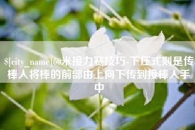 邵东60米接力赛技巧-下压式则是传棒人将棒的前部由上向下传到接棒人手中