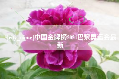 邵东中国金牌榜2024巴黎奥运会最新