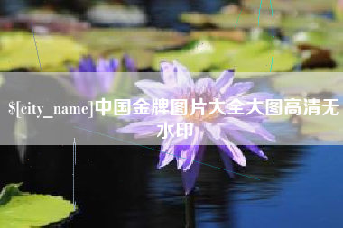 邵东中国金牌图片大全大图高清无水印