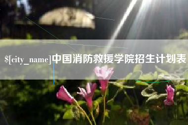 邵东中国消防救援学院招生计划表
