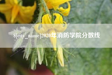邵东2020年消防学院分数线