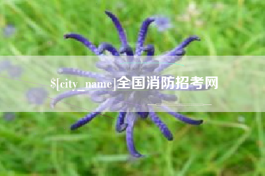 邵东全国消防招考网