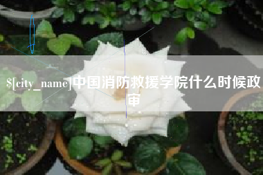 邵东中国消防救援学院什么时候政审