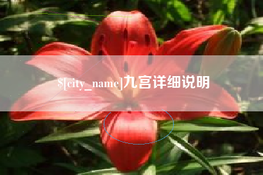 邵东九宫详细说明