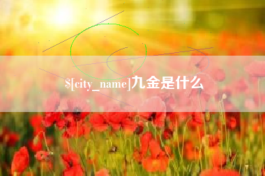 邵东九金是什么