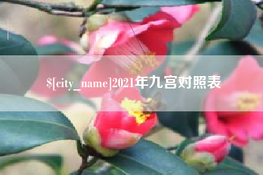 邵东2021年九宫对照表