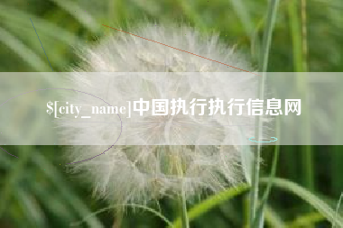 邵东中国执行执行信息网