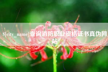 邵东查询消防职业资格证书真伪网站