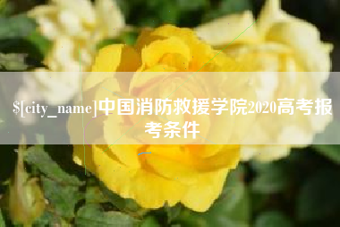 邵东中国消防救援学院2020高考报考条件