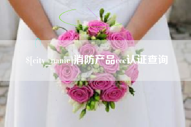 邵东消防产品ccc认证查询