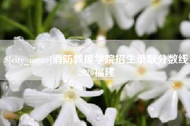 邵东消防救援学院招生录取分数线2020福建