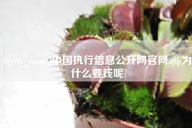 邵东中国执行信息公开网官网app为什么要钱呢