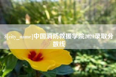 邵东中国消防救援学院2021录取分数线