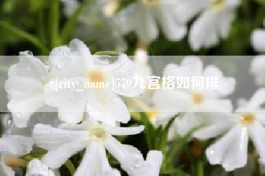 邵东579九宫格如何排