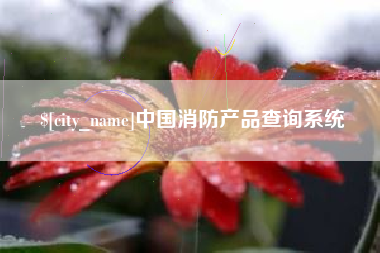 邵东中国消防产品查询系统
