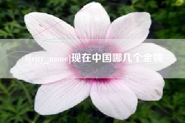 邵东现在中国哪几个金牌