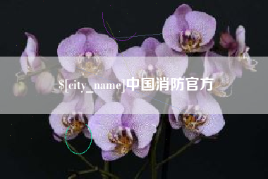 邵东中国消防官方