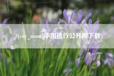 邵东中国执行公开网下载