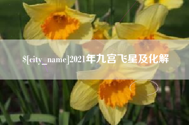 邵东2021年九宫飞星及化解