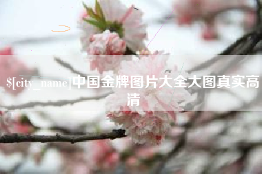 邵东中国金牌图片大全大图真实高清