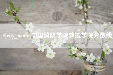 邵东中国消防学院救援学院分数线