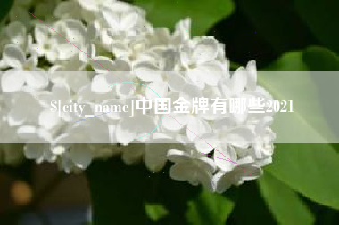邵东中国金牌有哪些2021