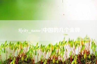 邵东中国的几个金牌