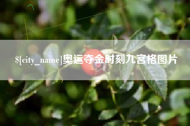 邵东奥运夺金时刻九宫格图片